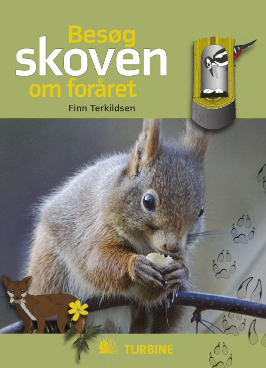 Besøg skoven om foråret