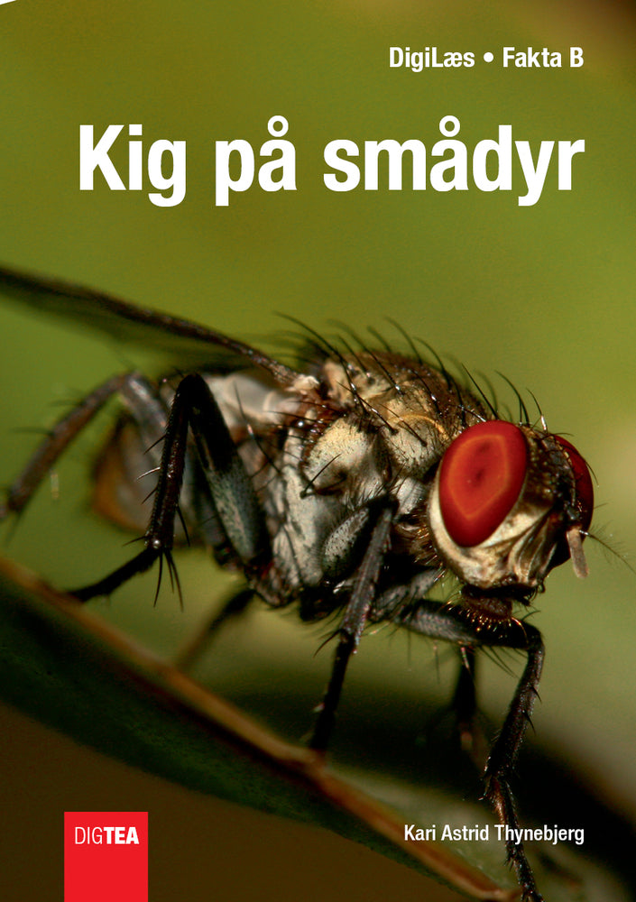 Kig på smådyr