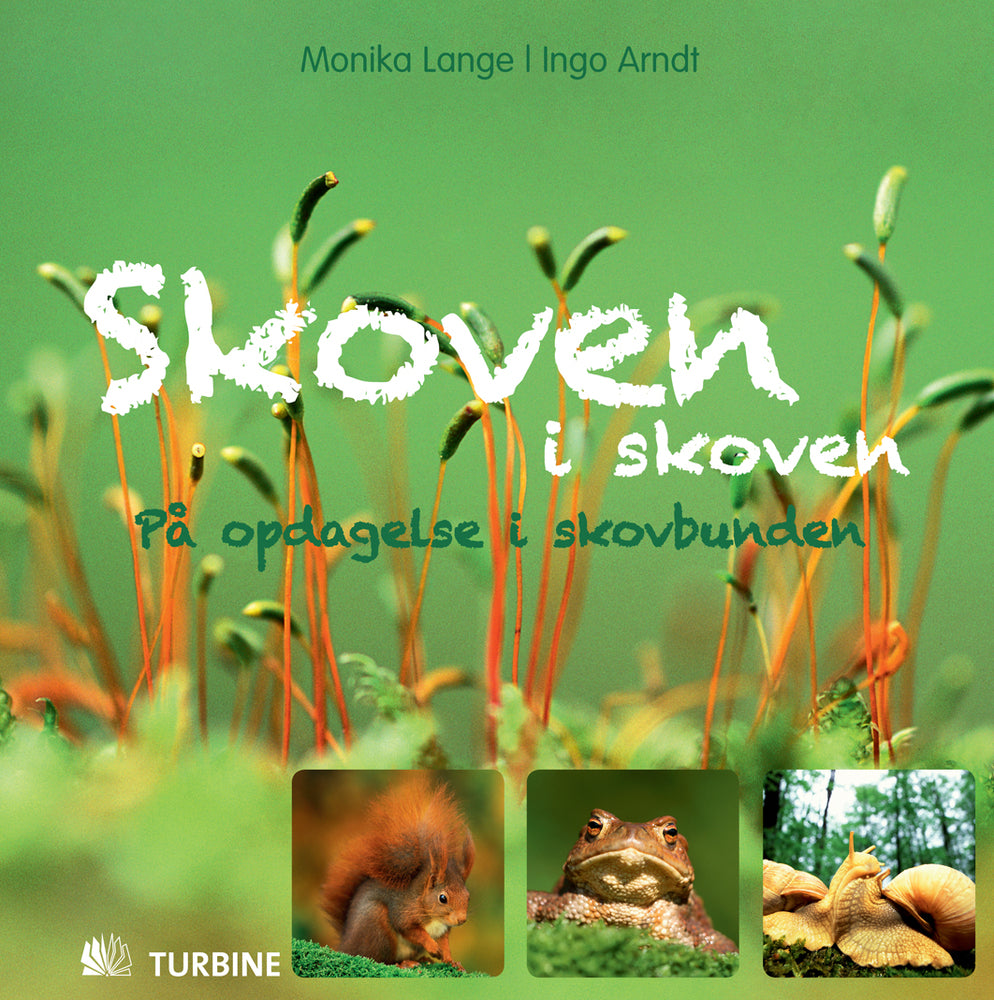 Skoven i skoven