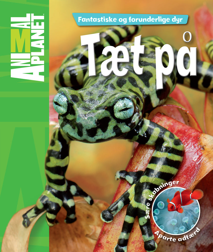 Tæt på