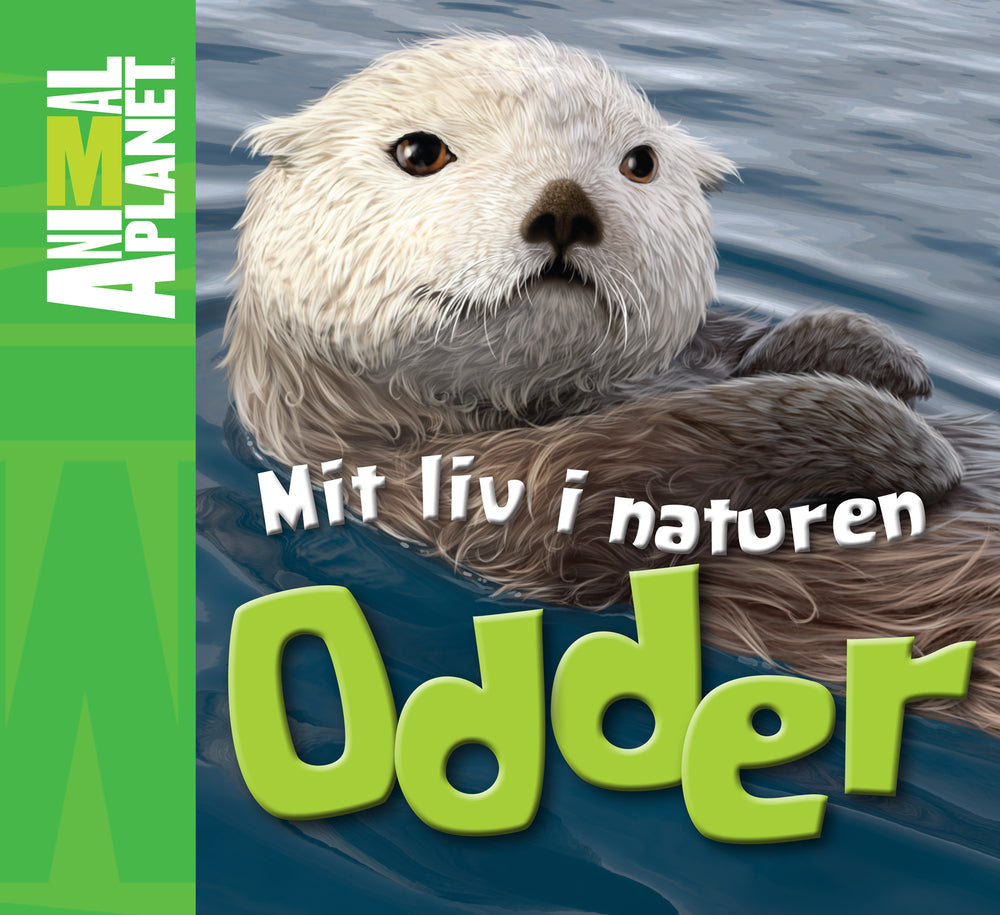 Odder