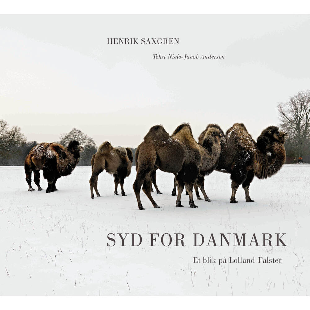 Syd for Danmark