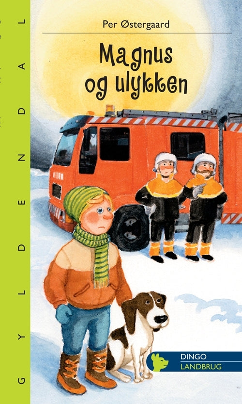 Magnus og ulykken