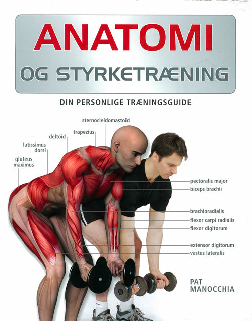 Anatomi og styrketræning