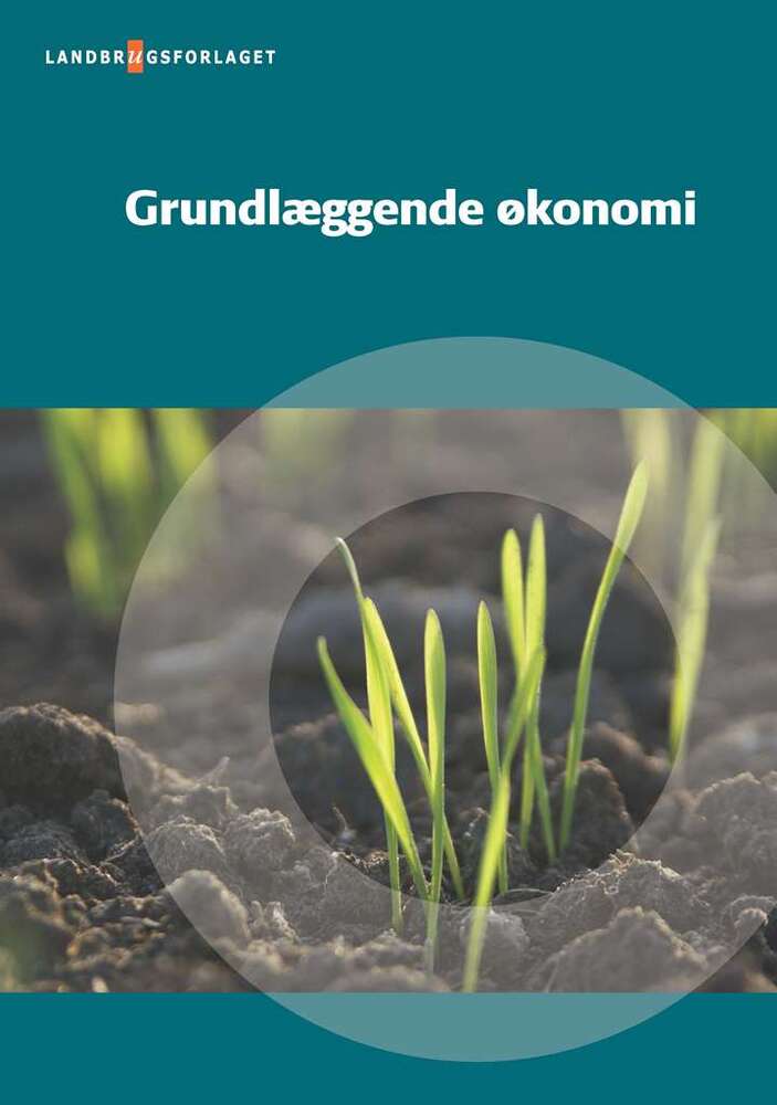Grundlæggende økonomi