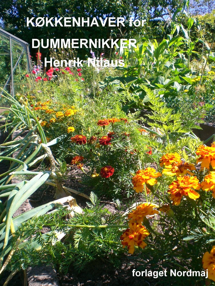KØKKENHAVER for DUMMERNIKKER