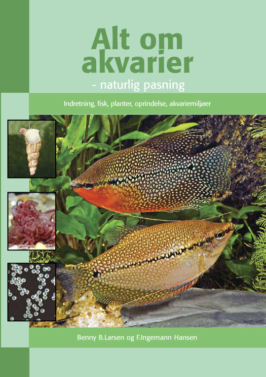 Alt om akvarier - naturlig pasning