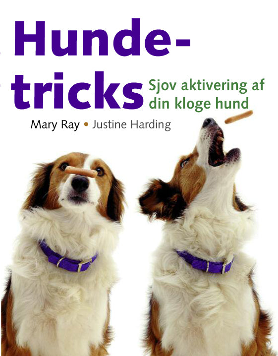 Hundetricks