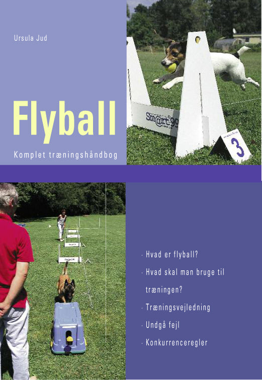Flyball