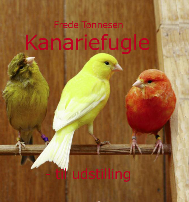 Kanariefugle