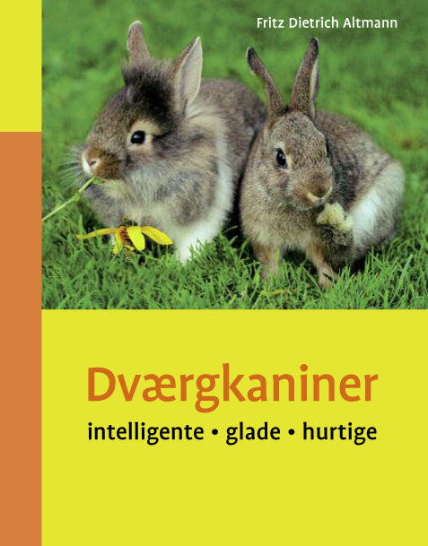 Dværgkaniner