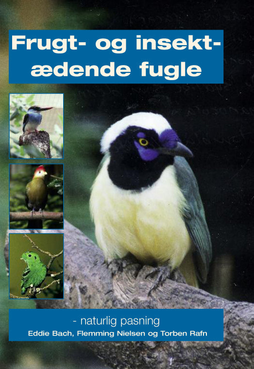 Frugt- og insektædende fugle