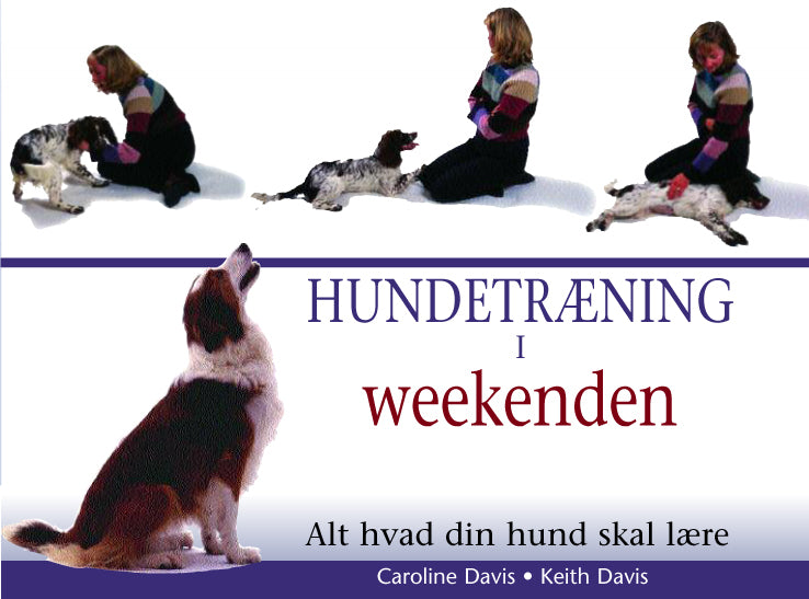 Hundetræning i weekenden