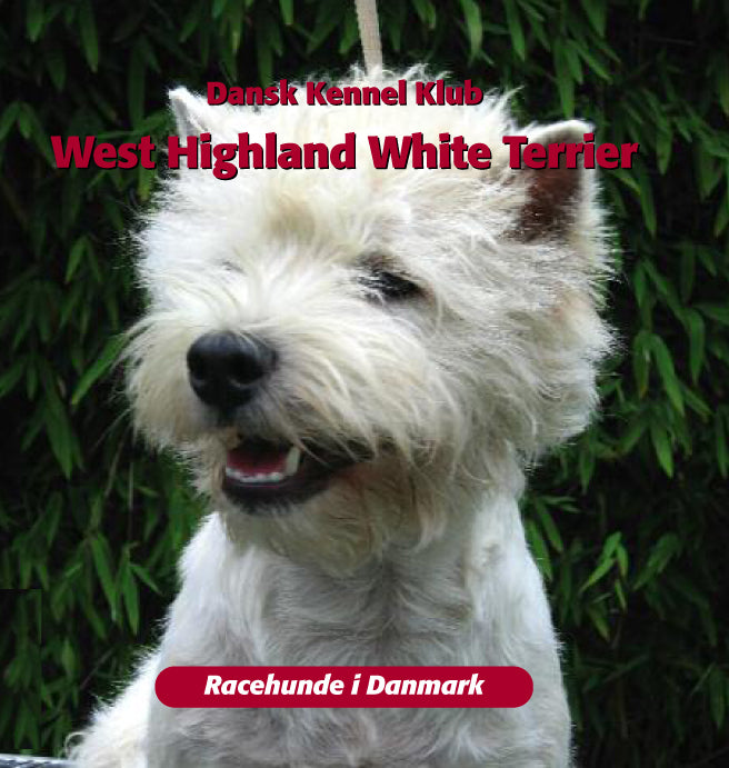 West highland white terrier