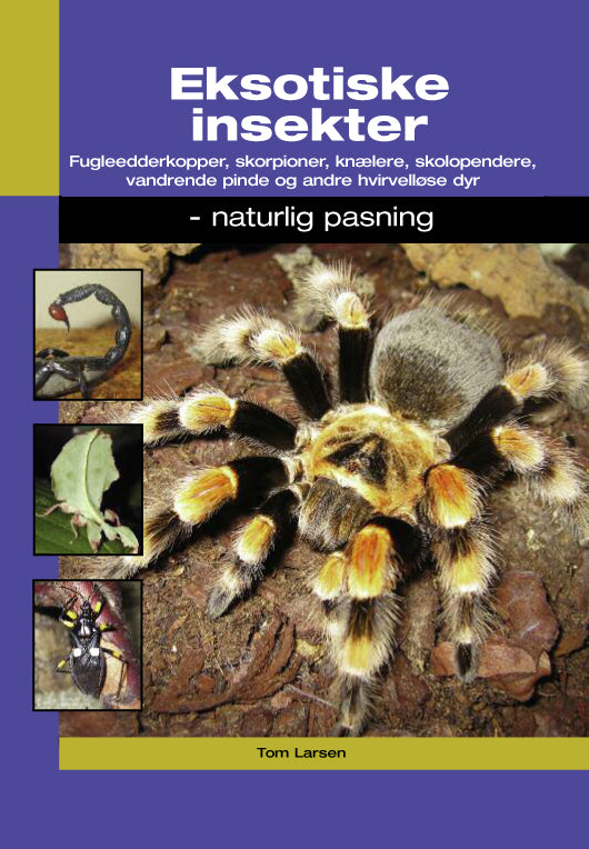 Eksotiske insekter