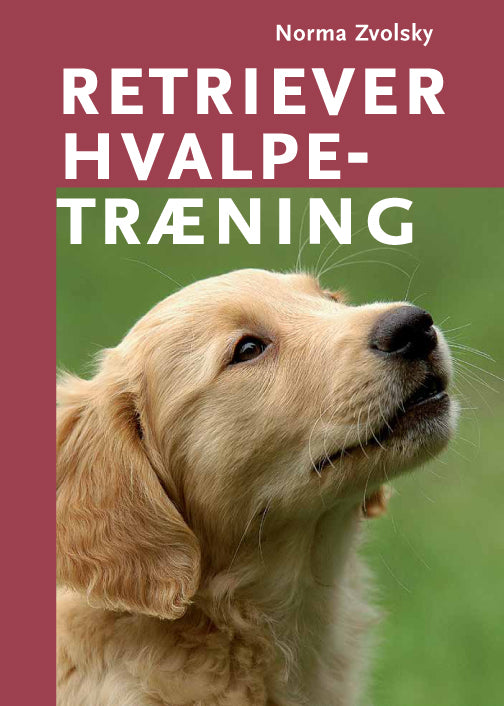 Retriever hvalpetræning