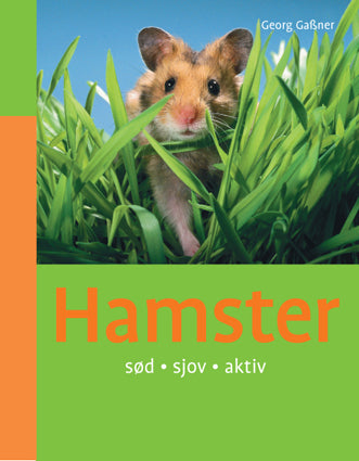 Hamster