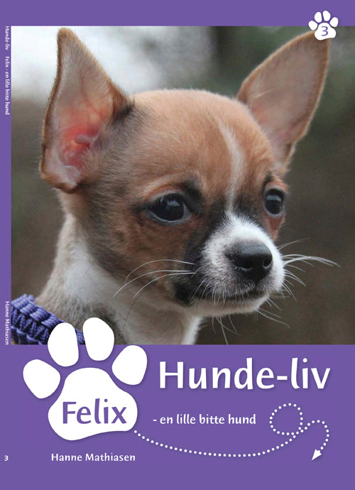 Felix, en lille bitte hund