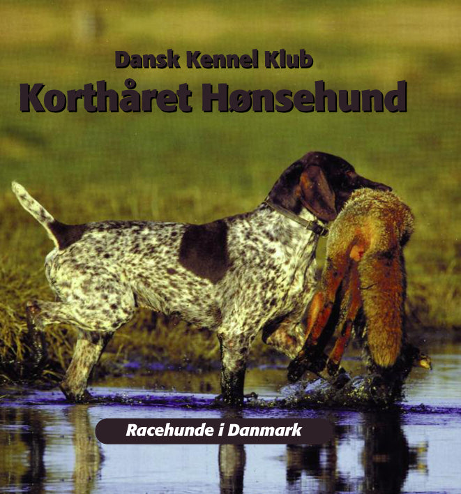 Korthåret hønsehund