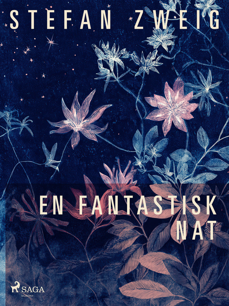 En fantastisk nat