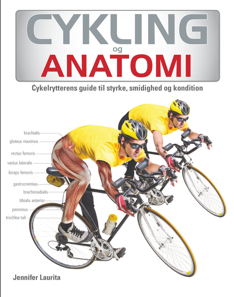 Cykling og Anatomi