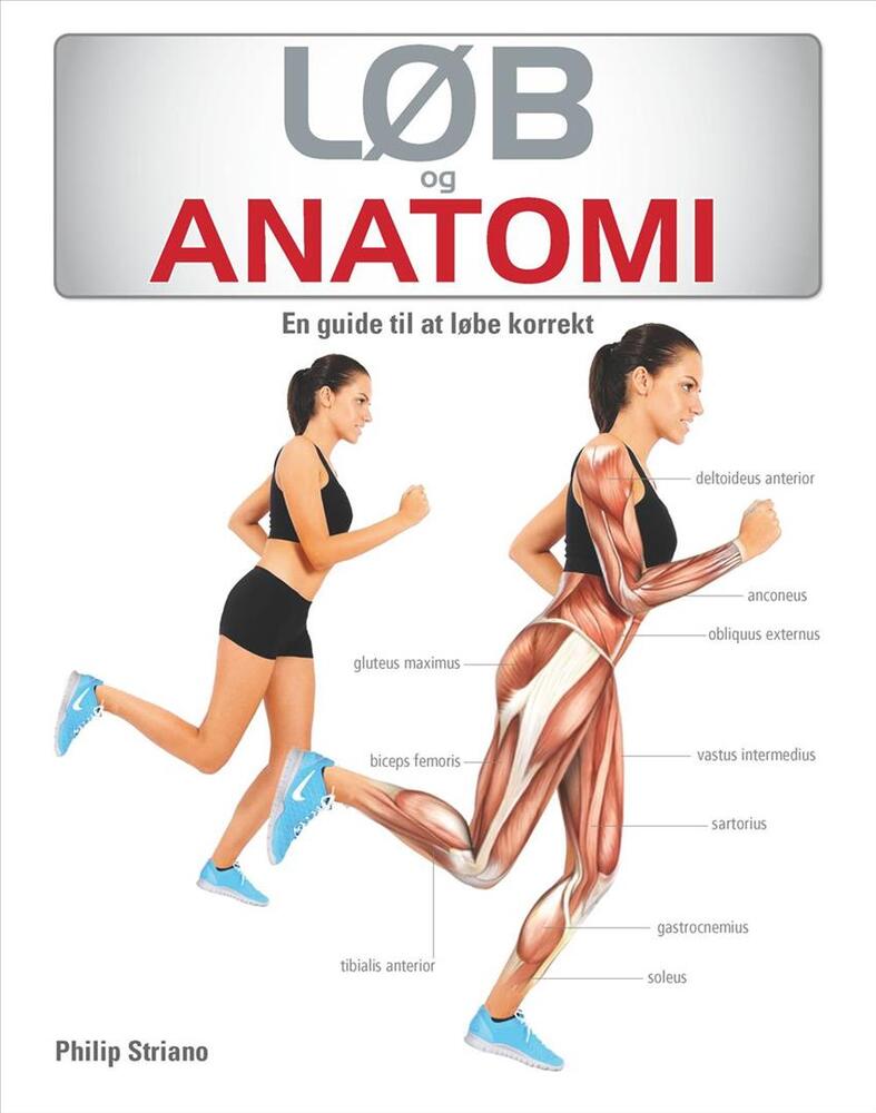 Løb og anatomi