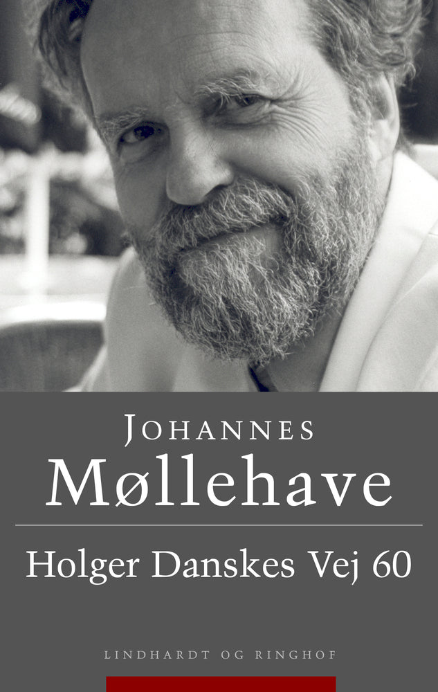 Holger Danskes Vej 60