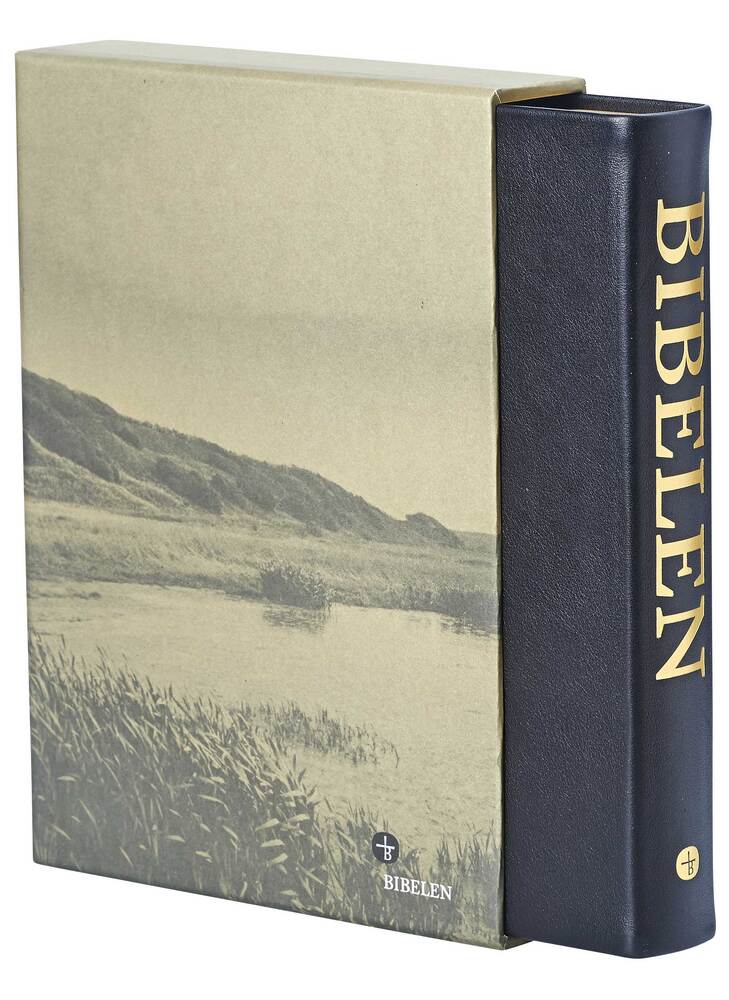 Bibelen - stort format