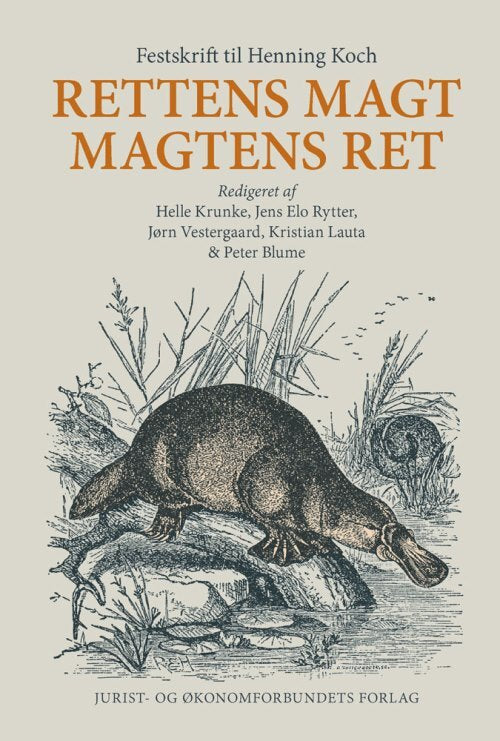 Rettens magt - magtens ret