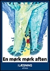 En mørk mørk aften