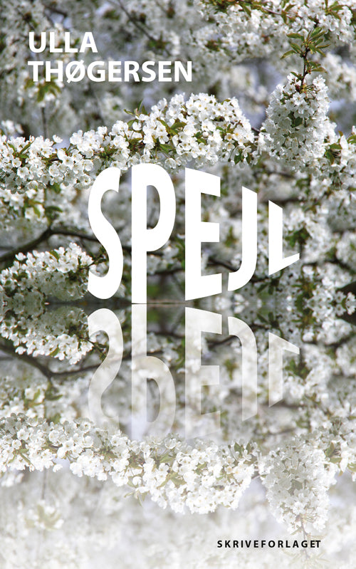 Spejl