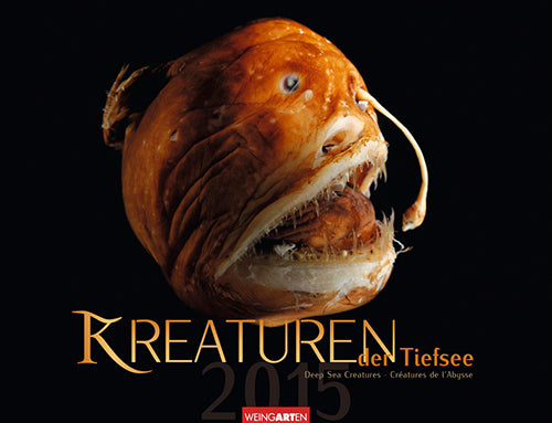 Kreaturen der Tiefsee - Deeå Sea Creatures Calendar 2015
