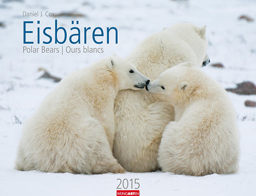 Eisbären - Polar Bears Calendar 2015