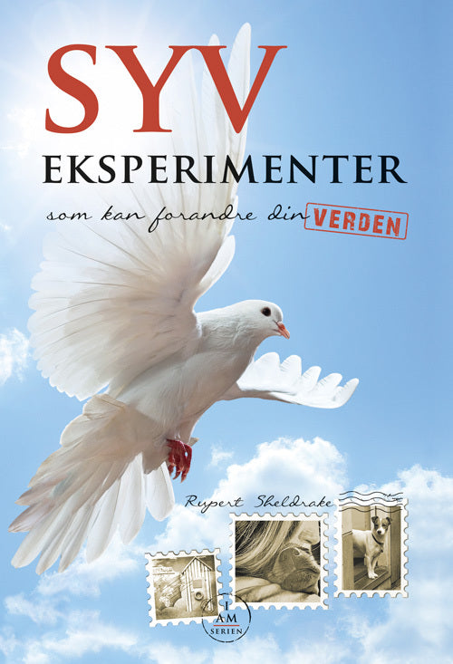 Syv eksperimenter som kan forandre din verden