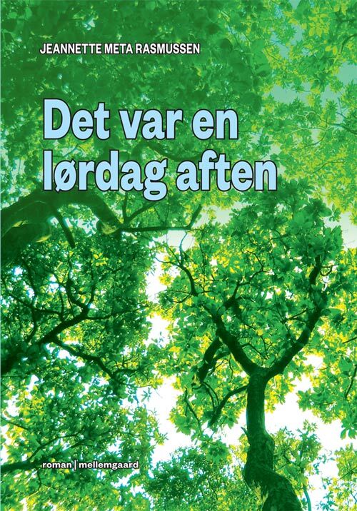Det var en lørdag aften
