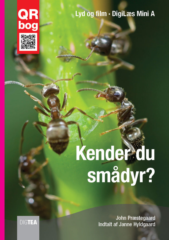 Kender du smådyr - Læs med lyd og film