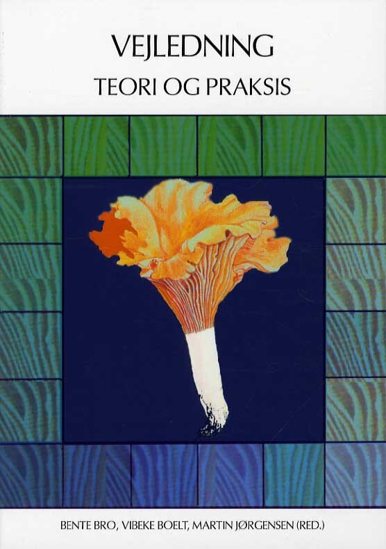 Vejledning - teori og praksis