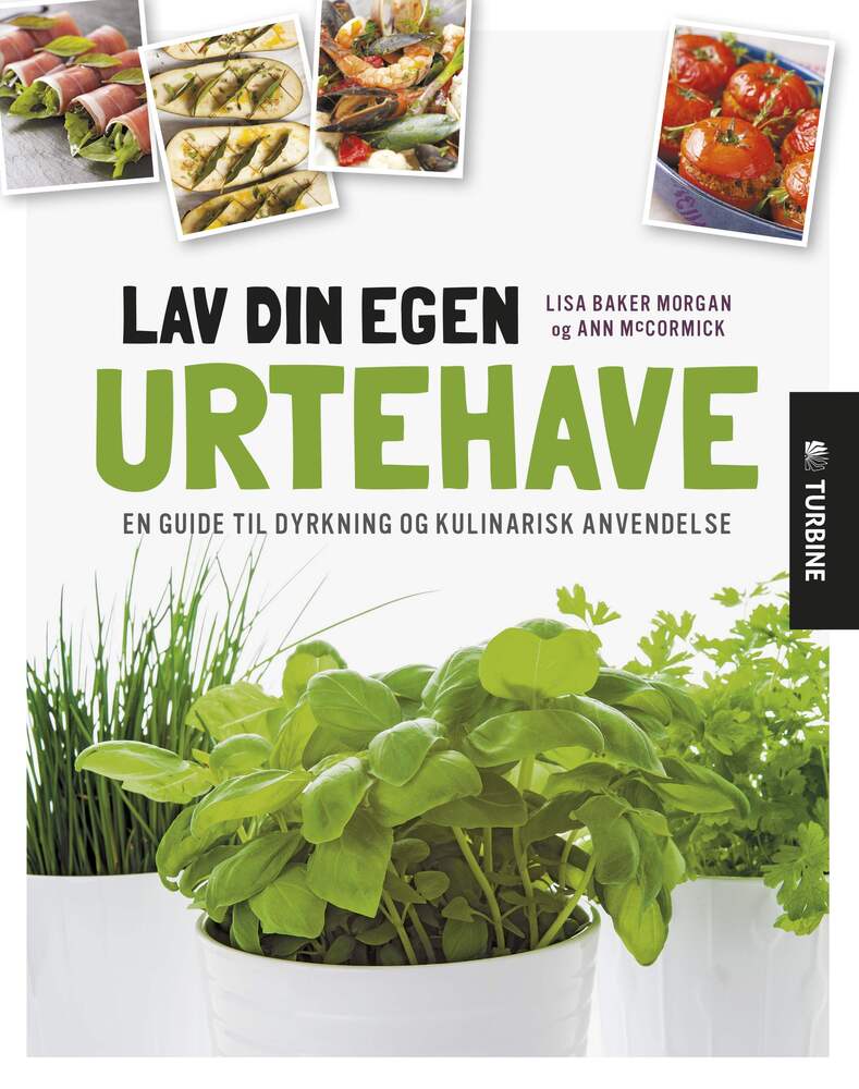 Lav din egen urtehave