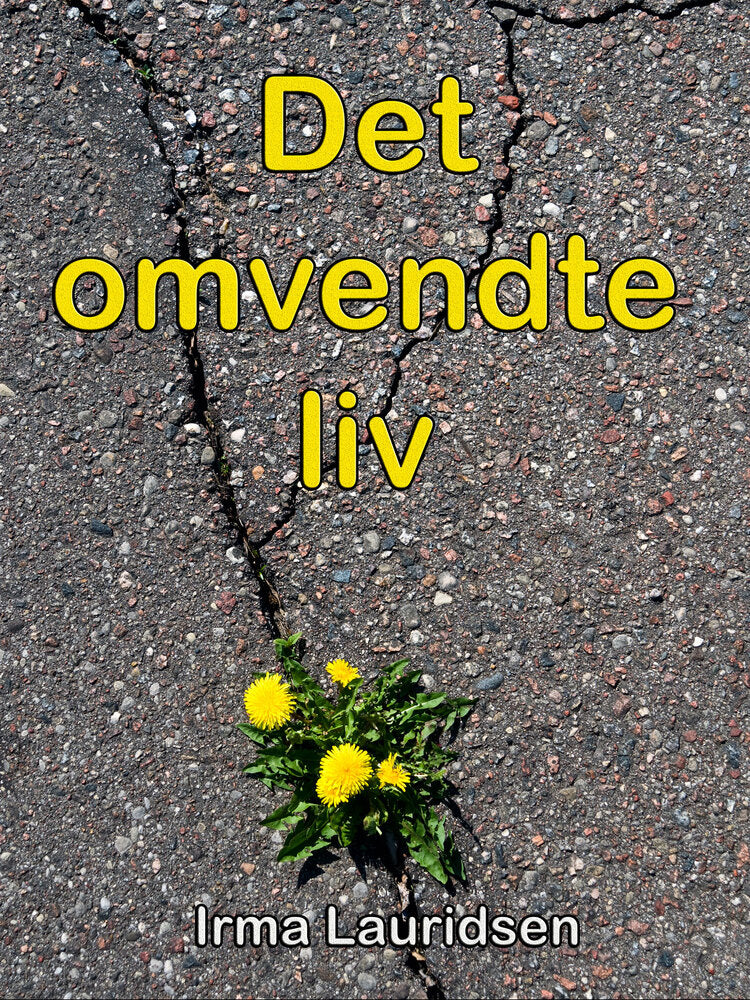 Det omvendte liv
