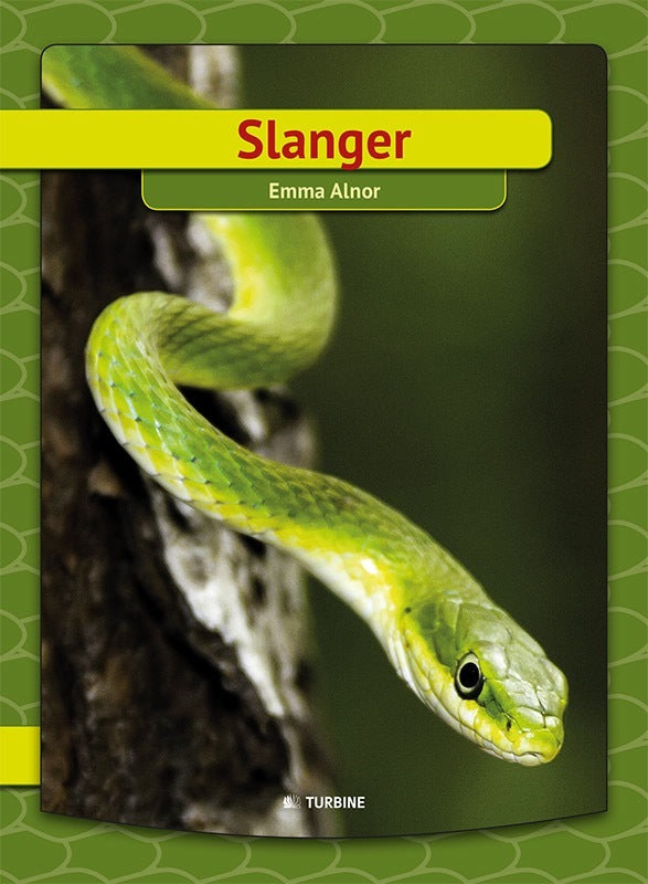 Slanger