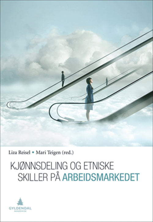 Kjønnsdeling og etniske skiller på arbeidsmarkedet