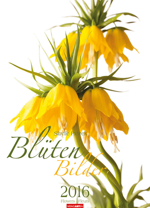 Blütenbilder