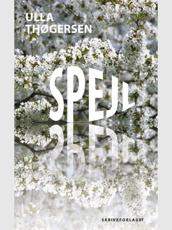 Spejl