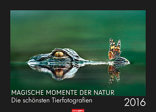 Magische Momente der Natur: Die schönsten Tierfotografien 2016