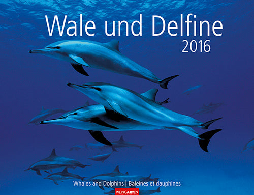 Wale und Delfine - Whales and Dolphins 2016
