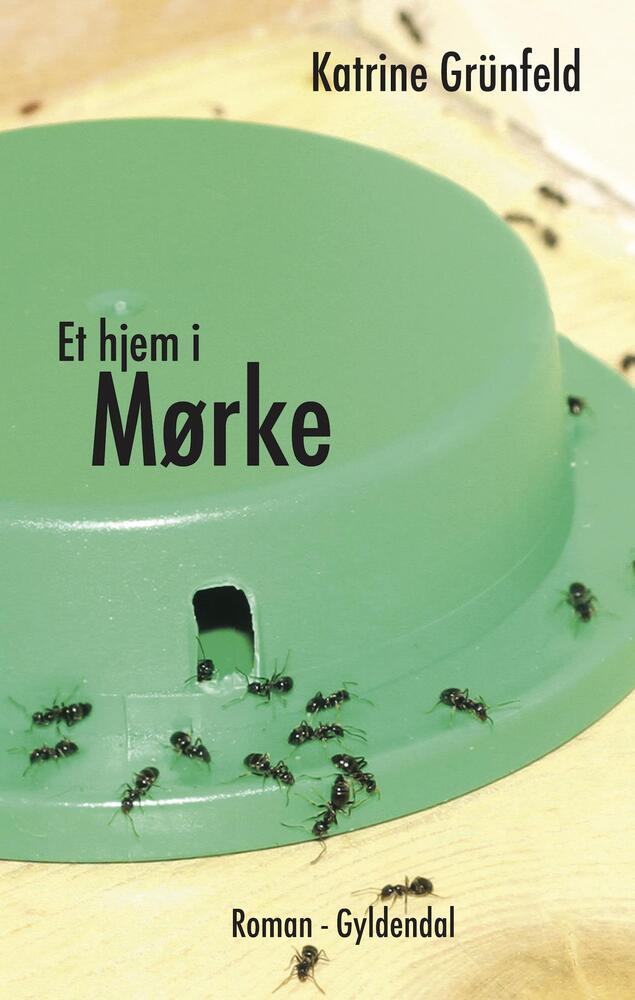 Et hjem i Mørke