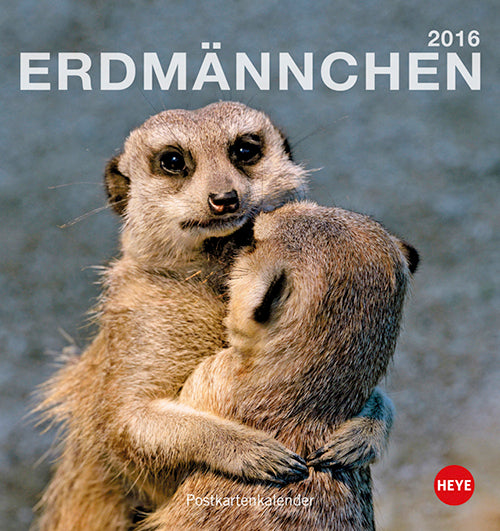 Erdmännchen Postkartenkalender 2016