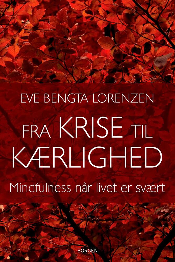 Fra krise til kærlighed