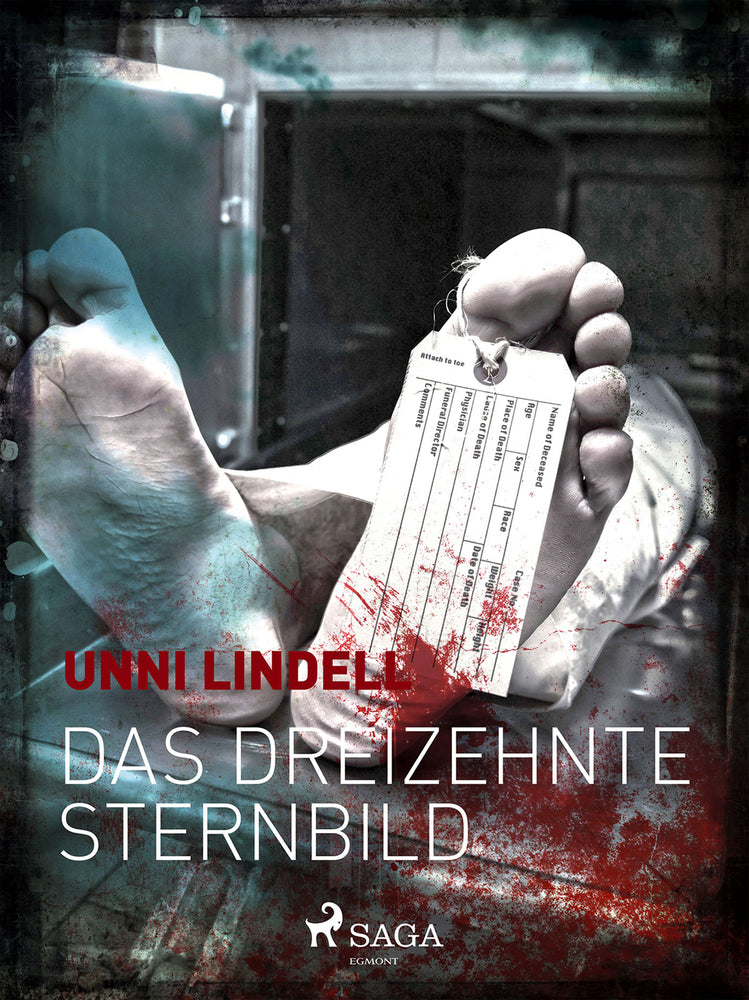 Das dreizehnte Sternbild