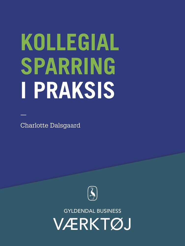 Kollegial sparring i praksis